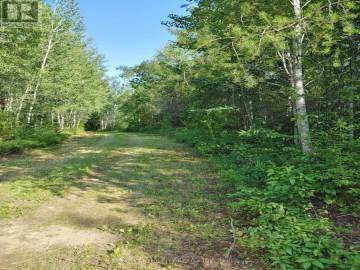 LOT 5 CON 1 Road, Timiskaming Remote Area, Ontario P0J1M0, ,Vacant Land,For Sale,CON 1,T9376320